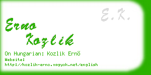 erno kozlik business card